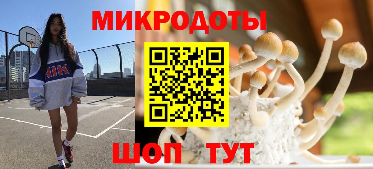 Псилоцибиновые грибы прущие грибы Реутов